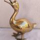 Canard en laiton