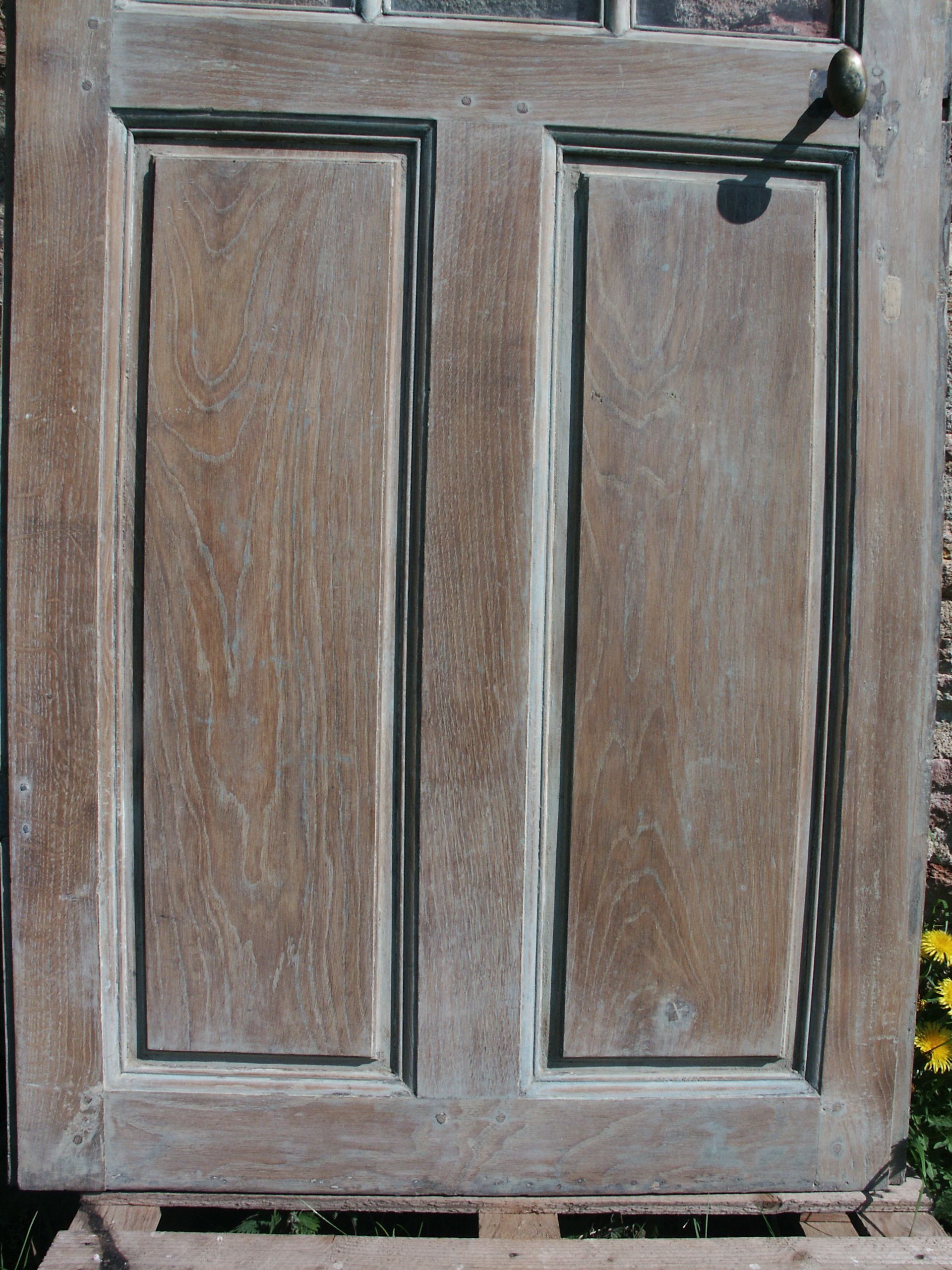 Glass raw oak door