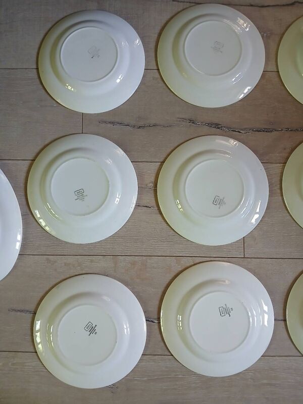 12 assiettes + 1 Plat Digoin et Sarreguemines