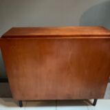 Meuble de rangement  1950/60