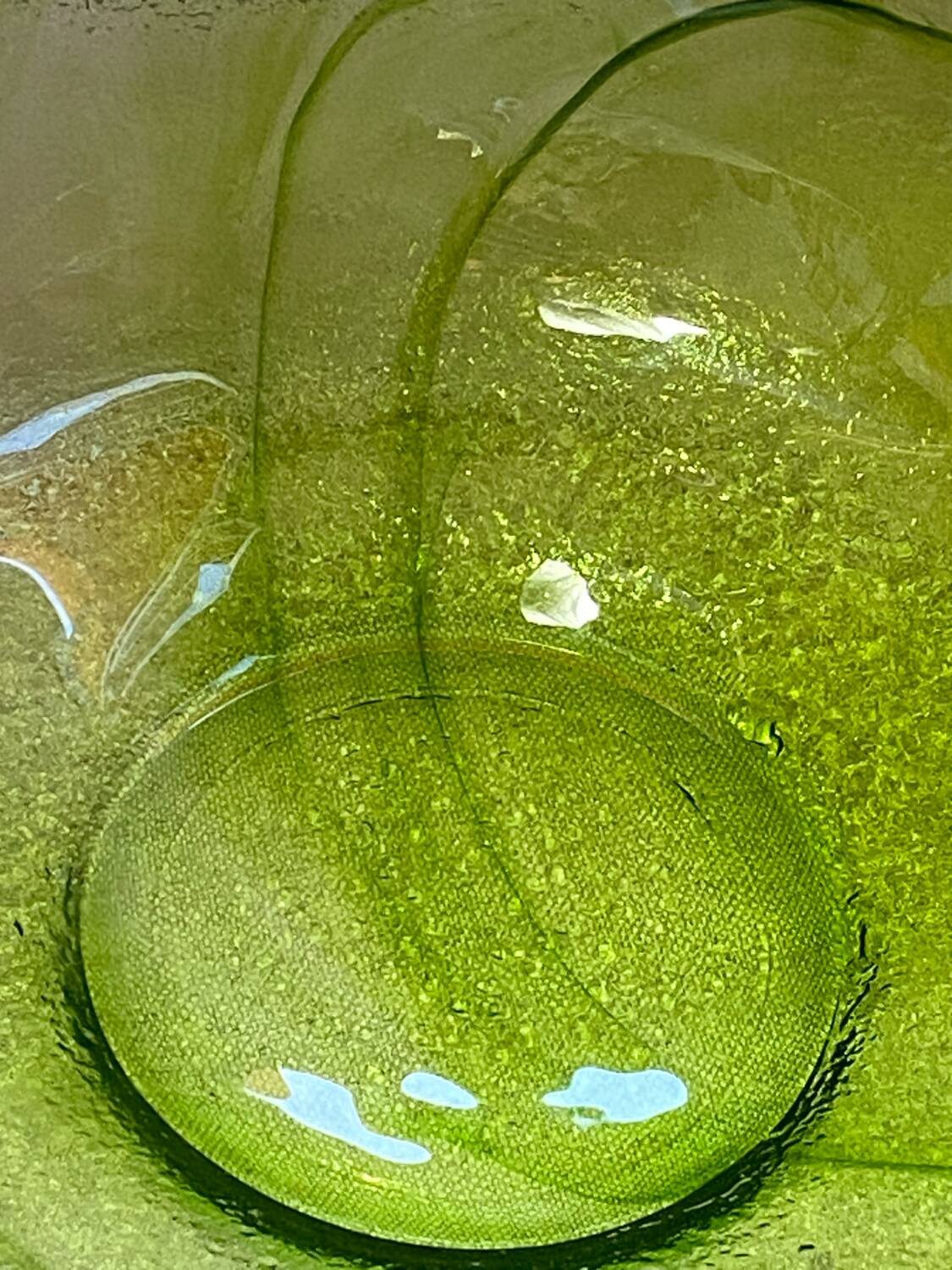 Saladier en verre vert