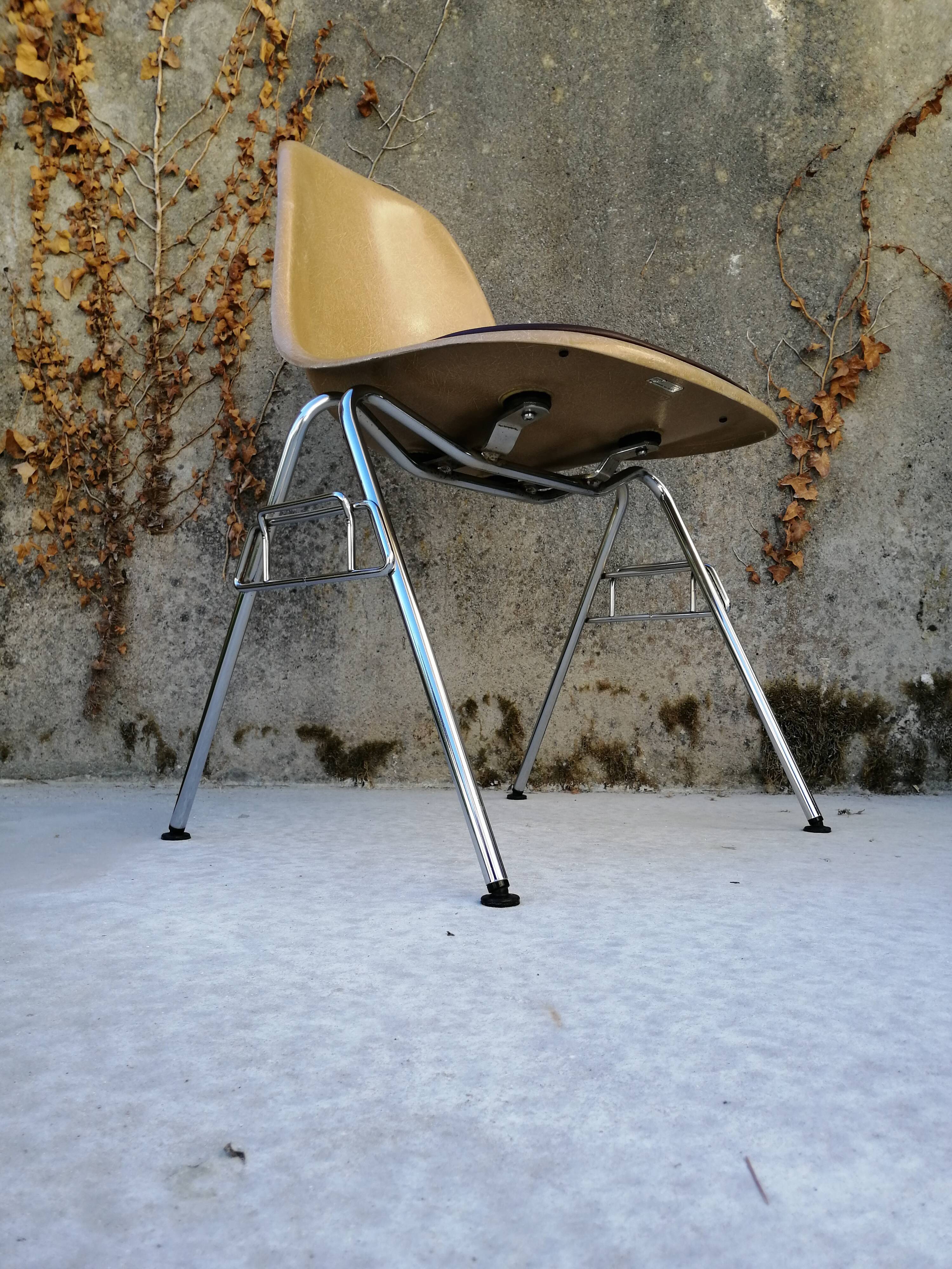Lot de 6 chaises DSS Charles & Ray Eames pour Herman Miller Edition Vitra