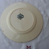 Flat plate in faience iron earth Henri II