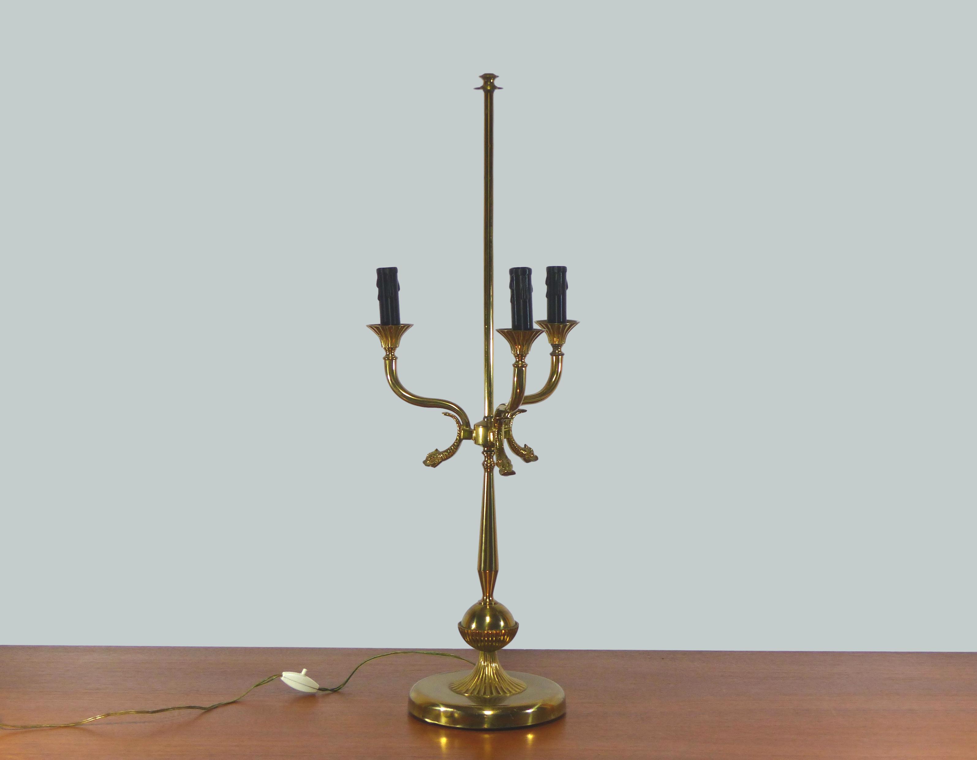 Dolphin hot water bottle lamp