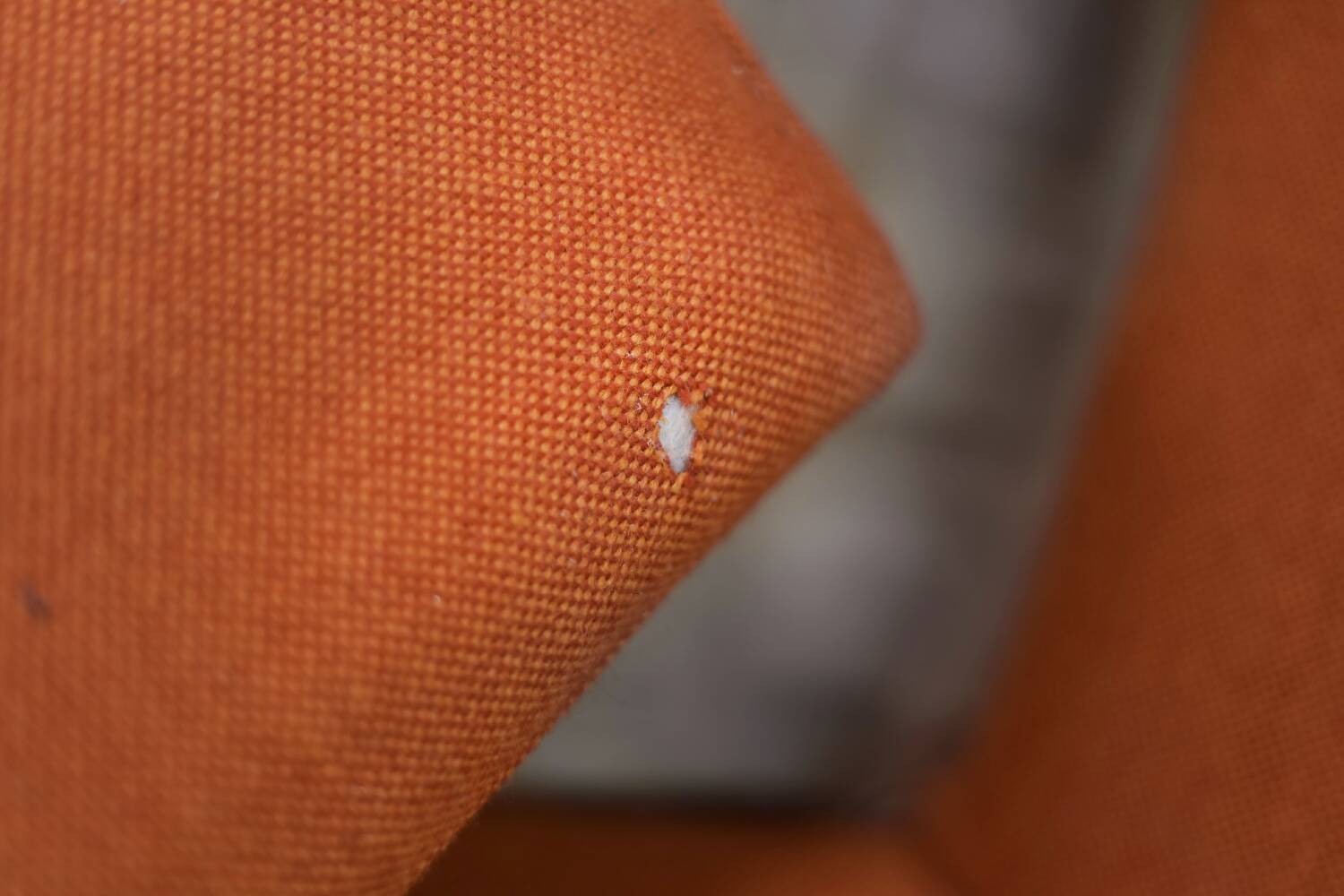 Vintage Mid-Century Elm Wing Master Chair by Thorbjörn Afdal for Bruksbo