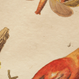 Vintage animal engraving - Buffon 1850