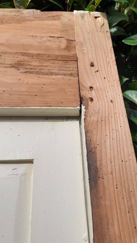 Pair of 19th-century cupboard doors and their frame (1st), woodwork