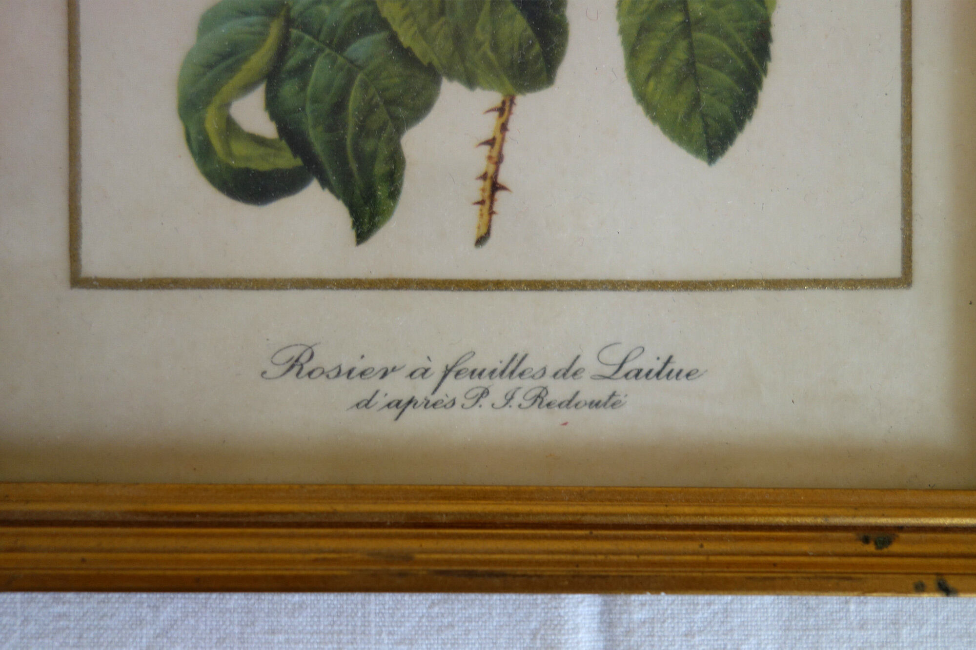 Pair of vintage boards under frame