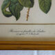 Pair of vintage boards under frame