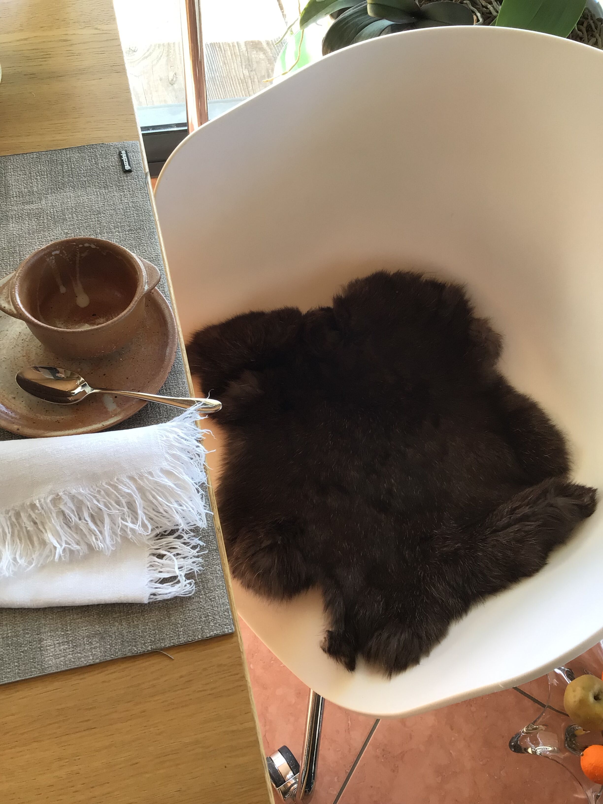 Dark brown rabbit skin