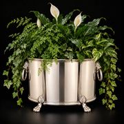 Jardinière