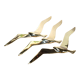 Flight of 3 gulls or brass swallows