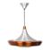 Philips Aluminum ceiling lamp 1960s Holland