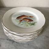 12 Digoin plates - Sarreguemines