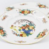 Set of limoges porcelain plates