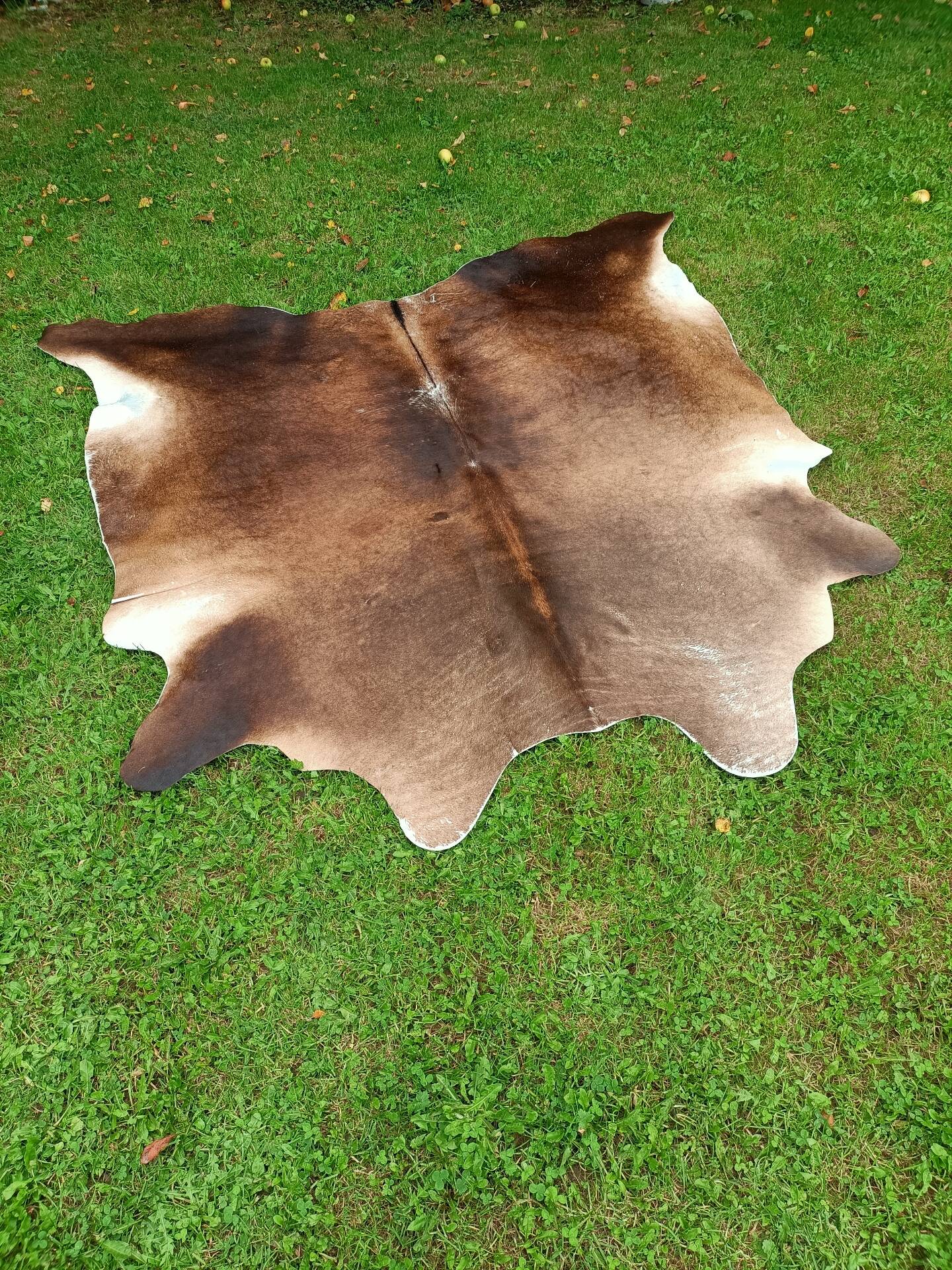Cowhide Rug