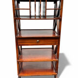 Bibus furniture with an adjustable shelf – vintage library furniture