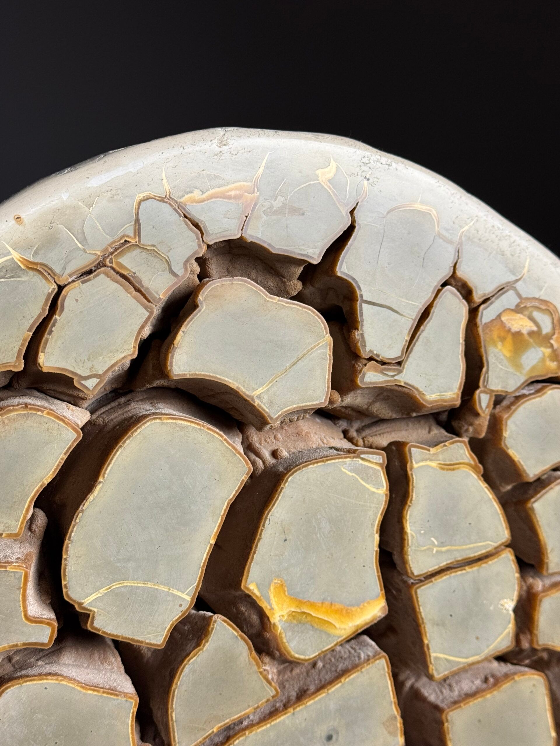 Septaria nodule on custom stand