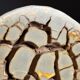Septaria nodule on custom stand
