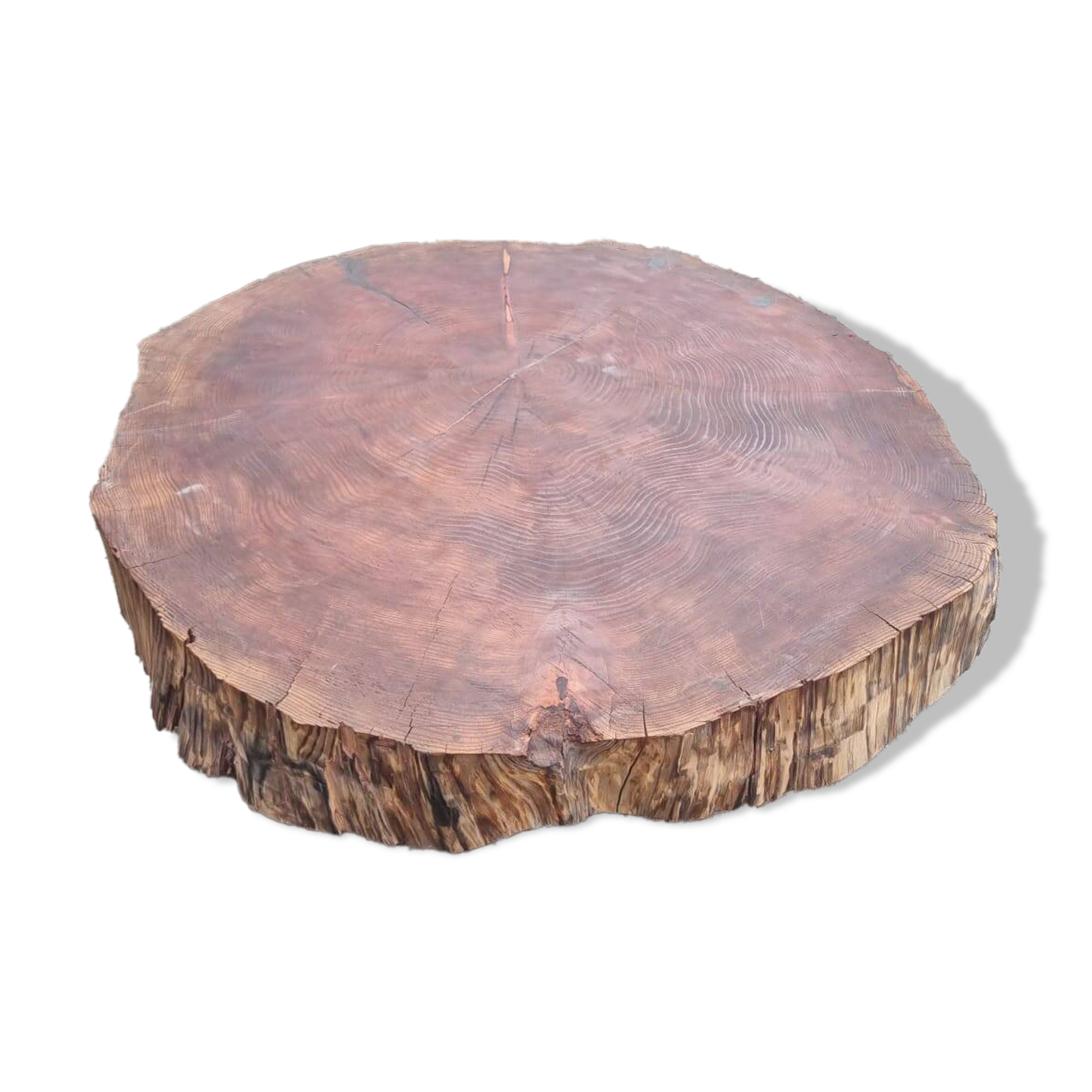 Coffee table made of solid, century-old sequoia, treated and oiled