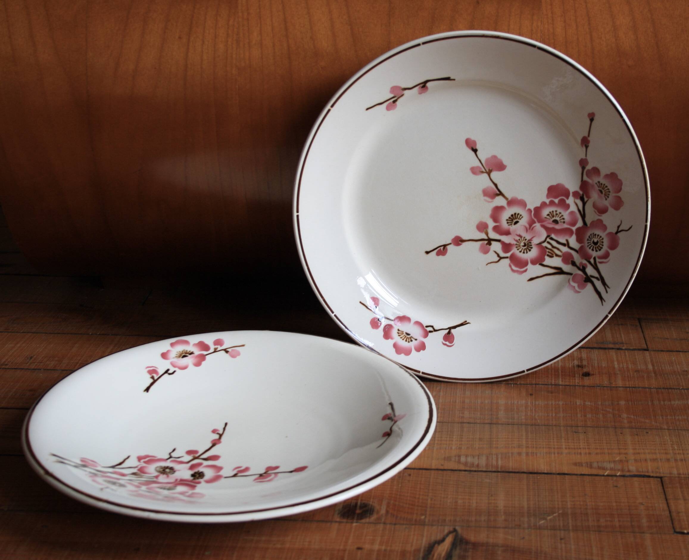 set of 2 dishes/large plates St Amand Terre de Fer "cherry"