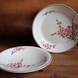 set of 2 dishes/large plates St Amand Terre de Fer "cherry"