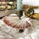 Scallop shell and lion paws candle holder