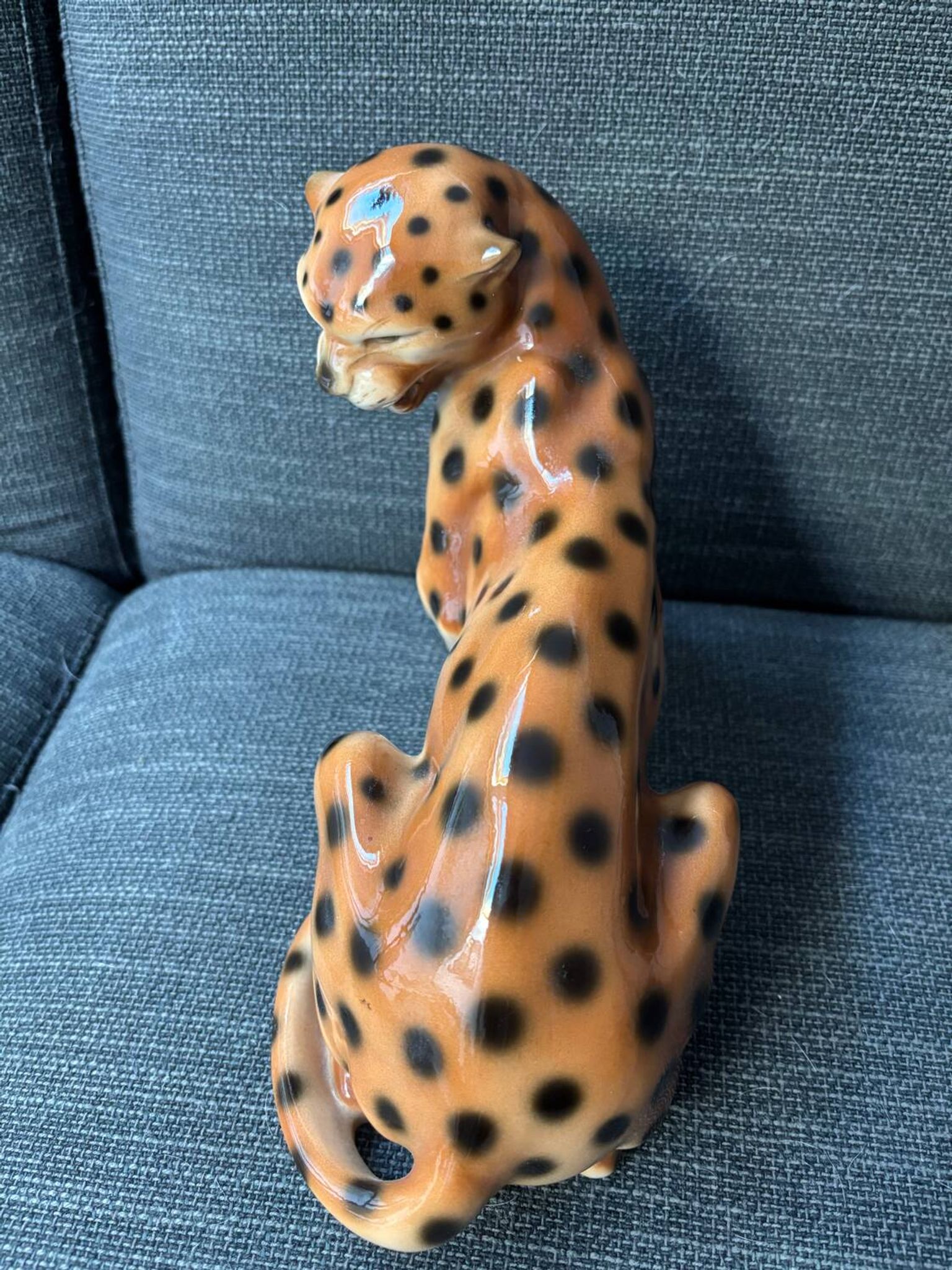 Royal Cheetah Dux