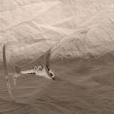 9 foot glasses with star engraving