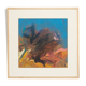 Abstract Composition, Oil on Plate, 73 x 73 cm