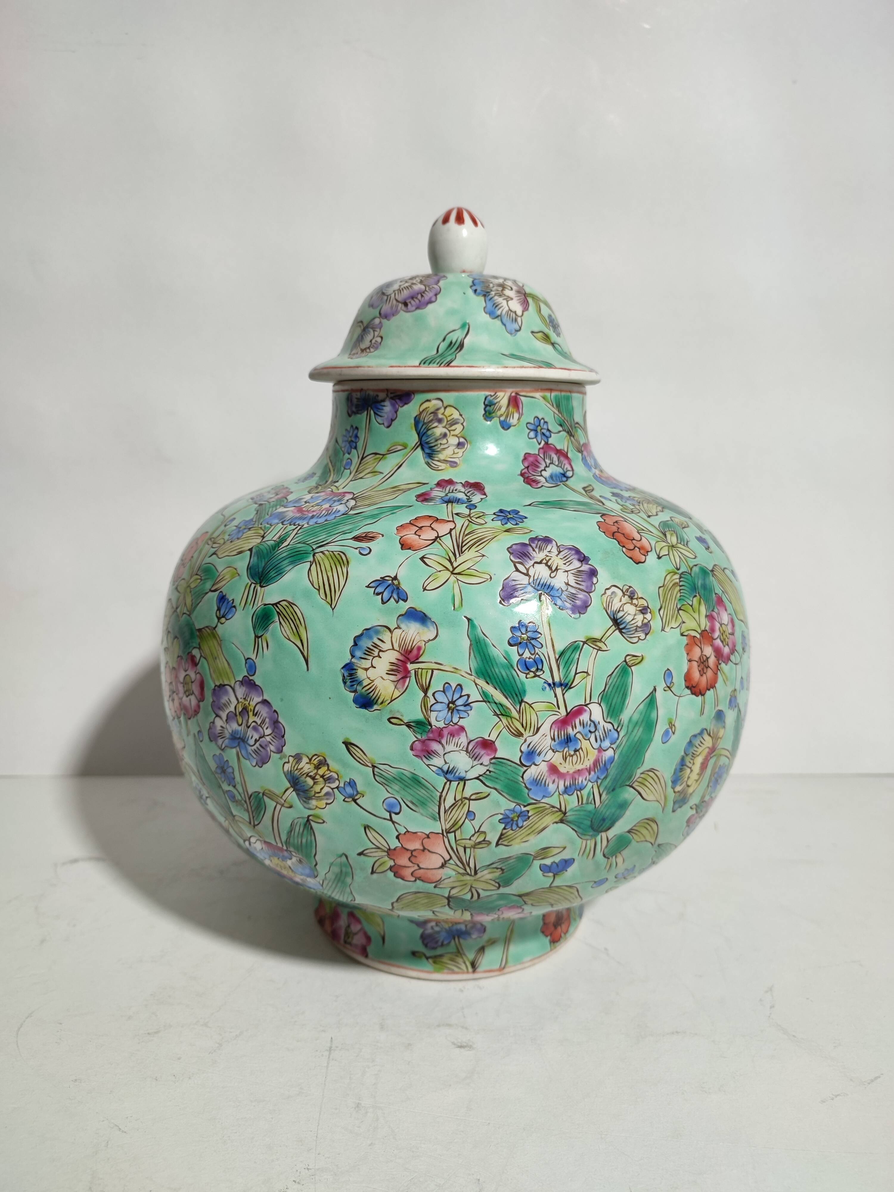Potiche and vase chinese porcelain qing 19th family green celadon