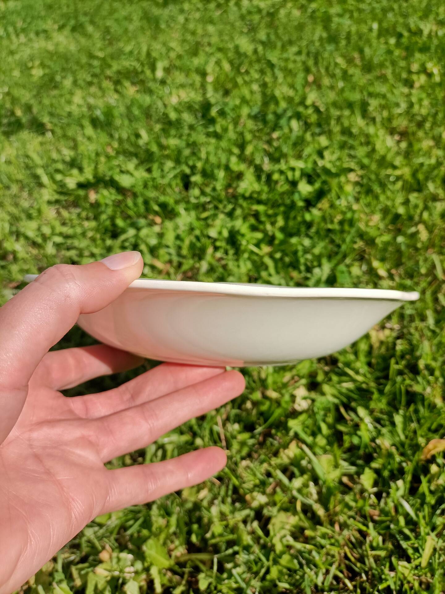 Plat ~ gien