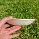 Plat ~ gien