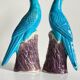 Pair of phenix birds chinese porcelain early 20th century