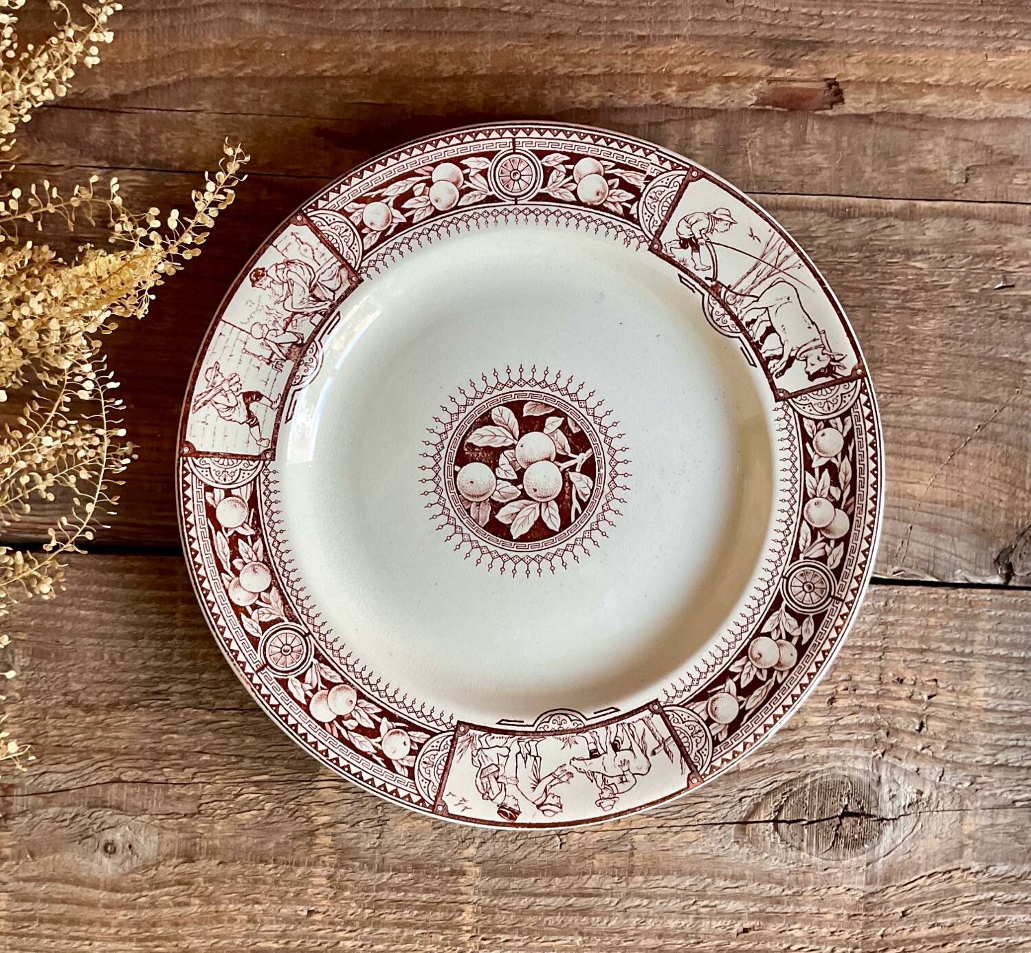 6 BROWNFIELD & SONS “Chelsea” England plates