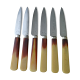Set of 6 knives with Camembert stainless blades and sleeves in Bovine Horn