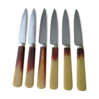Set of 6 knives with Camembert stainless blades and sleeves in Bovine Horn