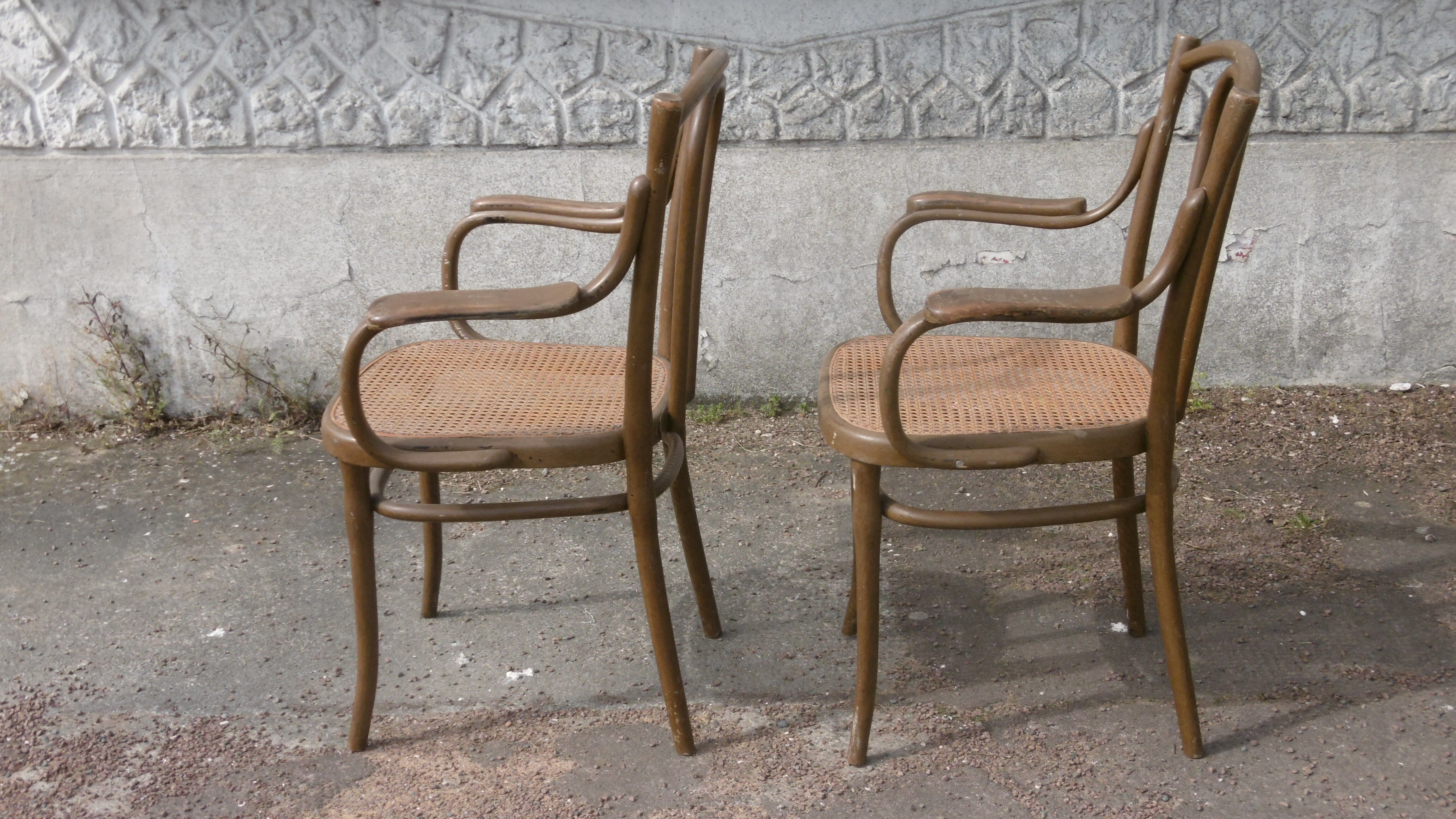 Viennese bistro armchair sitting cane