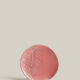 Lot de 4 assiettes blanca rosa s