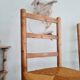 Paire de chaises en bois et paille