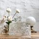 Cloche en verre
