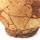 Gargoulette, terracotta jug and cork