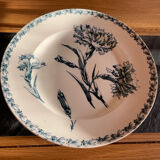 Fruit cup iron earth eyelet model