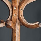 Baumann parrot coat holder
