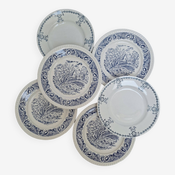 Assiettes plates vintage bleu