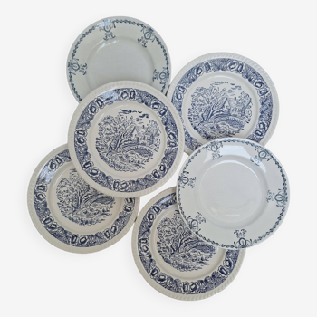 Blue vintage dinner plates