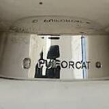 Puigforcat solid silver champagne tumbler
