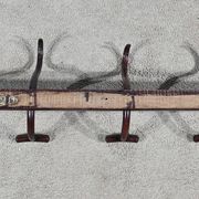 Cloakroom Coat Rack in Curved Beech, J&J Kohn – Early 20th Century