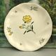 Flat plates stamped saline France