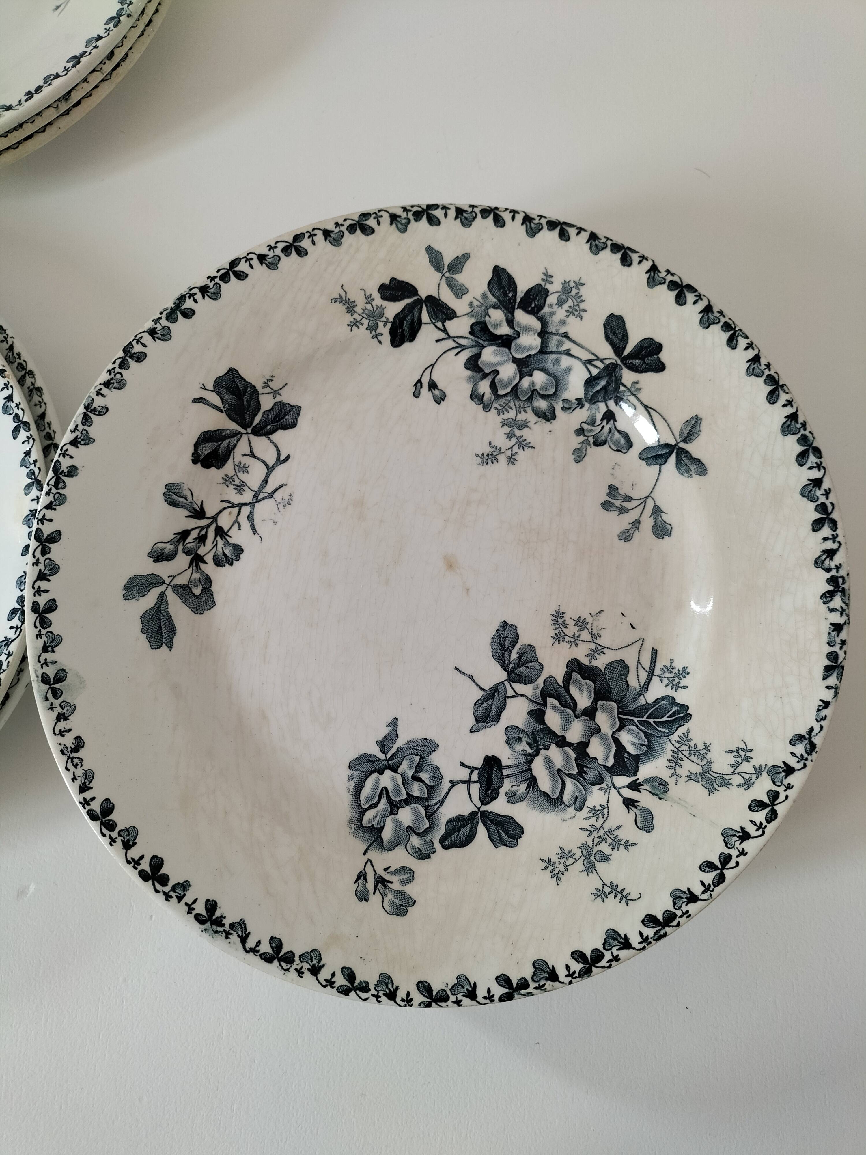 Set of 10 ironstone plates Moulin des Loups Acacia